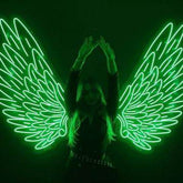 Neon wings - BBD GIFTS